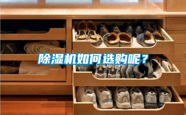除濕機如何選購呢？
