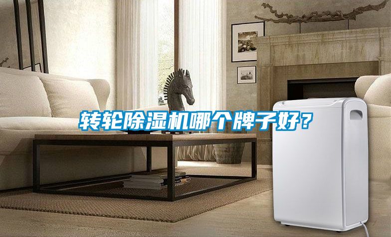 轉(zhuǎn)輪除濕機(jī)哪個牌子好？