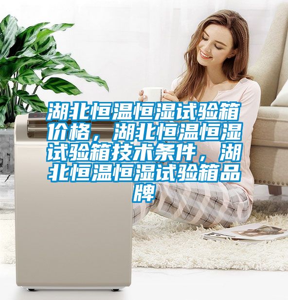 湖北恒溫恒濕試驗(yàn)箱價(jià)格，湖北恒溫恒濕試驗(yàn)箱技術(shù)條件，湖北恒溫恒濕試驗(yàn)箱品牌