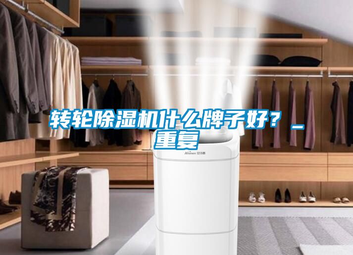 轉(zhuǎn)輪除濕機(jī)什么牌子好？_重復(fù)
