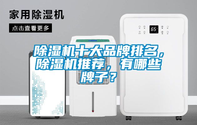除濕機十大品牌排名，除濕機推薦，有哪些牌子？