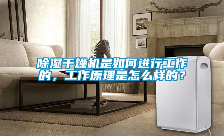 除濕干燥機是如何進行工作的，工作原理是怎么樣的？