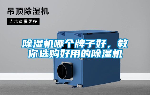 除濕機(jī)哪個(gè)牌子好，教你選購好用的除濕機(jī)