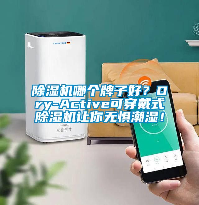 除濕機哪個牌子好？Dry-Active可穿戴式除濕機讓你無懼潮濕！