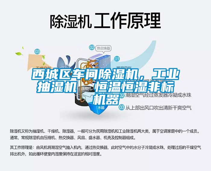 西城區(qū)車間除濕機(jī)，工業(yè)抽濕機(jī)  恒溫恒濕非標(biāo)機(jī)器