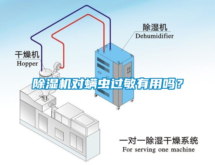 除濕機(jī)對(duì)螨蟲過(guò)敏有用嗎？