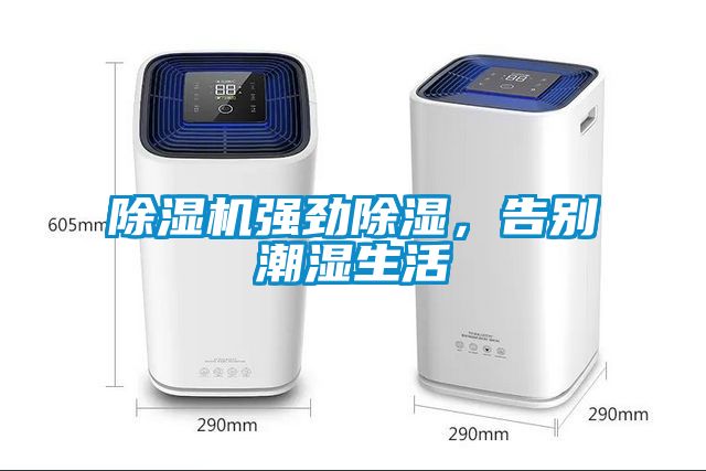 除濕機(jī)強(qiáng)勁除濕，告別潮濕生活