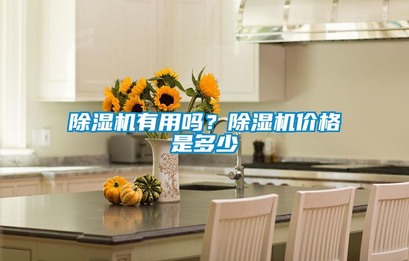 除濕機有用嗎？除濕機價格是多少