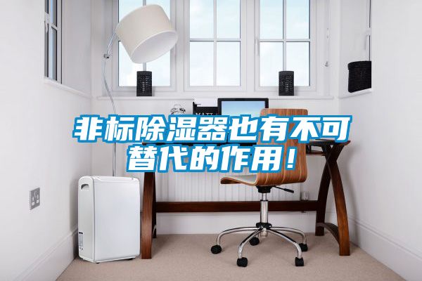 非標(biāo)除濕器也有不可替代的作用！
