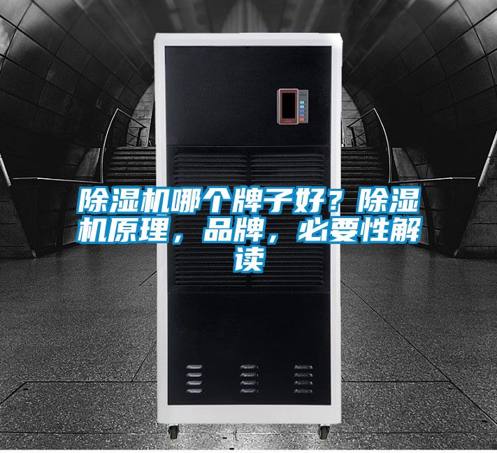 除濕機(jī)哪個(gè)牌子好？除濕機(jī)原理，品牌，必要性解讀