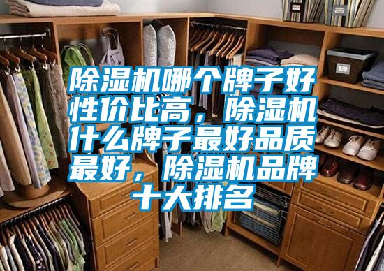 除濕機哪個牌子好性價比高，除濕機什么牌子最好品質(zhì)最好，除濕機品牌十大排名