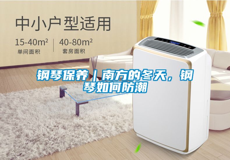 鋼琴保養(yǎng)｜南方的冬天，鋼琴如何防潮