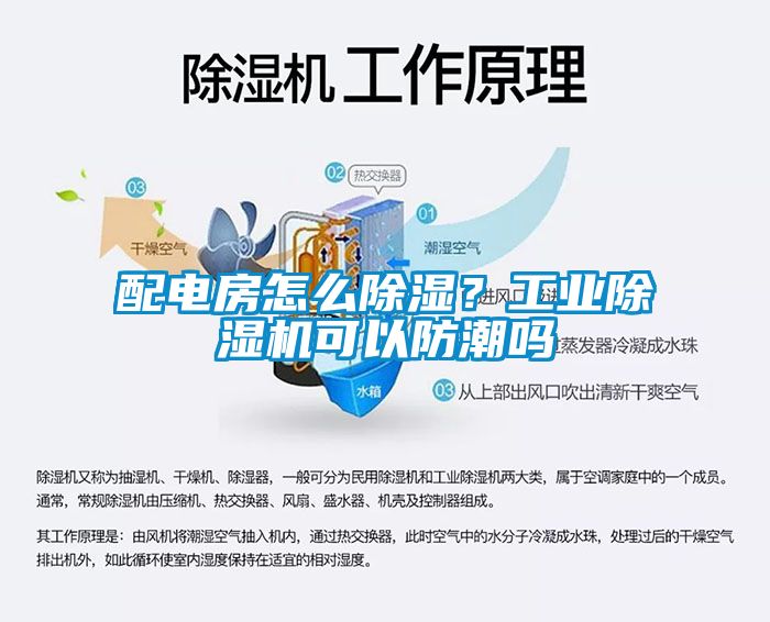 配電房怎么除濕？工業(yè)除濕機(jī)可以防潮嗎