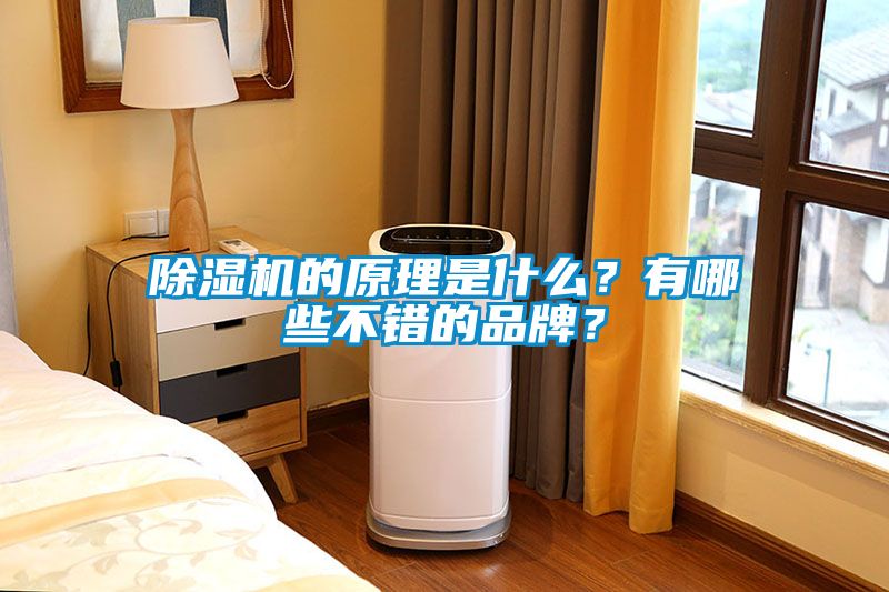 除濕機的原理是什么？有哪些不錯的品牌？