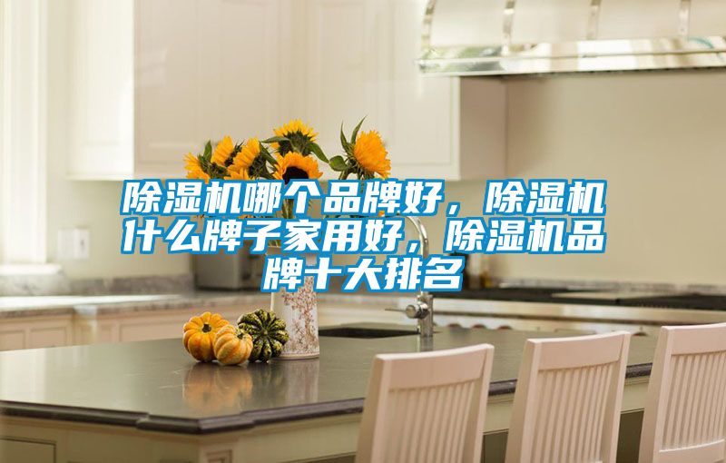 除濕機(jī)哪個品牌好，除濕機(jī)什么牌子家用好，除濕機(jī)品牌十大排名