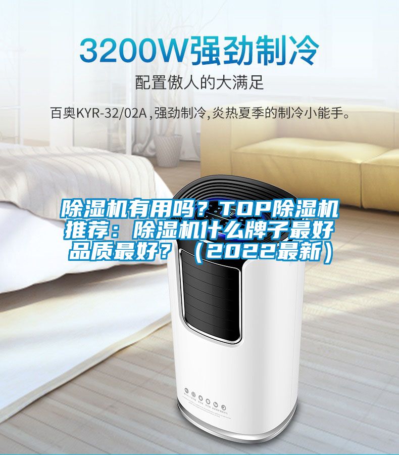 除濕機(jī)有用嗎？TOP除濕機(jī)推薦：除濕機(jī)什么牌子最好品質(zhì)最好？（2022最新）