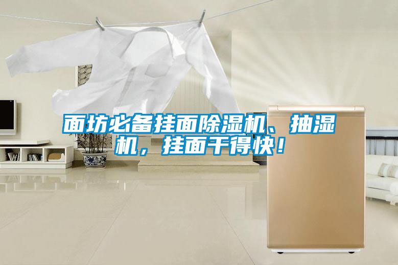 面坊必備掛面除濕機、抽濕機，掛面干得快！
