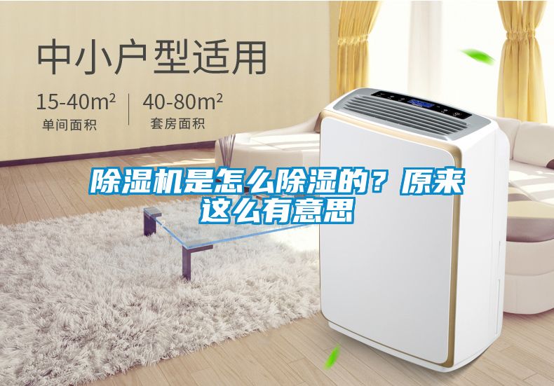除濕機(jī)是怎么除濕的？原來(lái)這么有意思