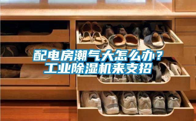 配電房潮氣大怎么辦？工業(yè)除濕機(jī)來支招