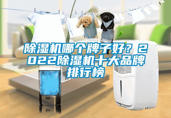 除濕機(jī)哪個(gè)牌子好？2022除濕機(jī)十大品牌排行榜