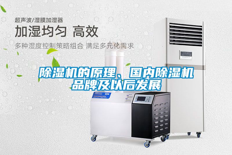 除濕機的原理、國內除濕機品牌及以后發(fā)展