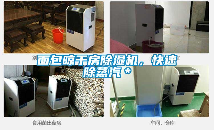 面包晾干房除濕機，快速除蒸汽＊