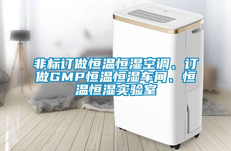 非標訂做恒溫恒濕空調(diào)、訂做GMP恒溫恒濕車間、恒溫恒濕實驗室