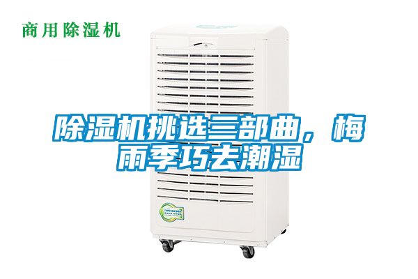 除濕機(jī)挑選三部曲，梅雨季巧去潮濕