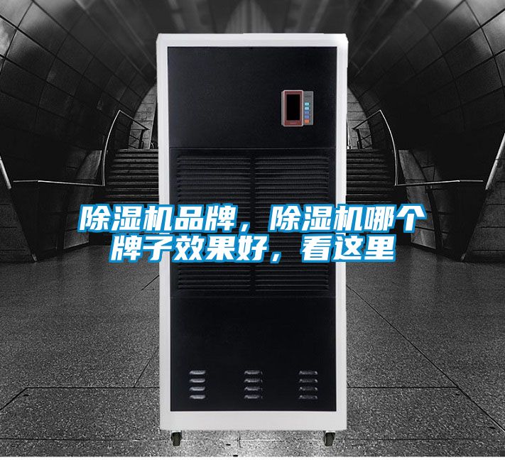 除濕機(jī)品牌，除濕機(jī)哪個牌子效果好，看這里