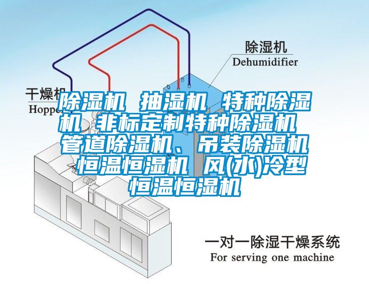除濕機 抽濕機 特種除濕機 非標(biāo)定制特種除濕機 管道除濕機、吊裝除濕機 恒溫恒濕機 風(fēng)(水)冷型恒溫恒濕機
