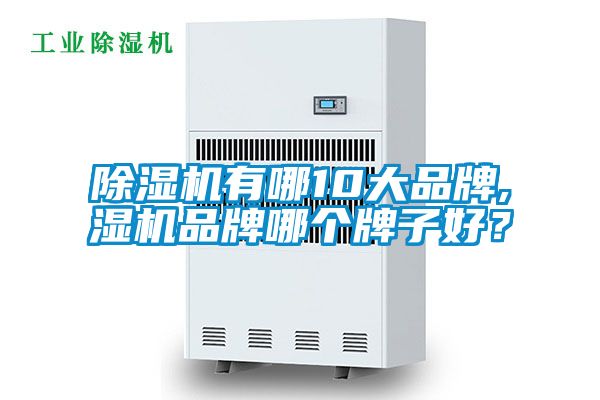 除濕機(jī)有哪10大品牌,濕機(jī)品牌哪個(gè)牌子好？