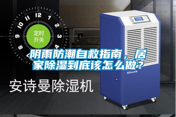 陰雨防潮自救指南，居家除濕到底該怎么做？