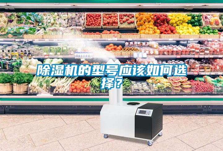 除濕機的型號應該如何選擇？