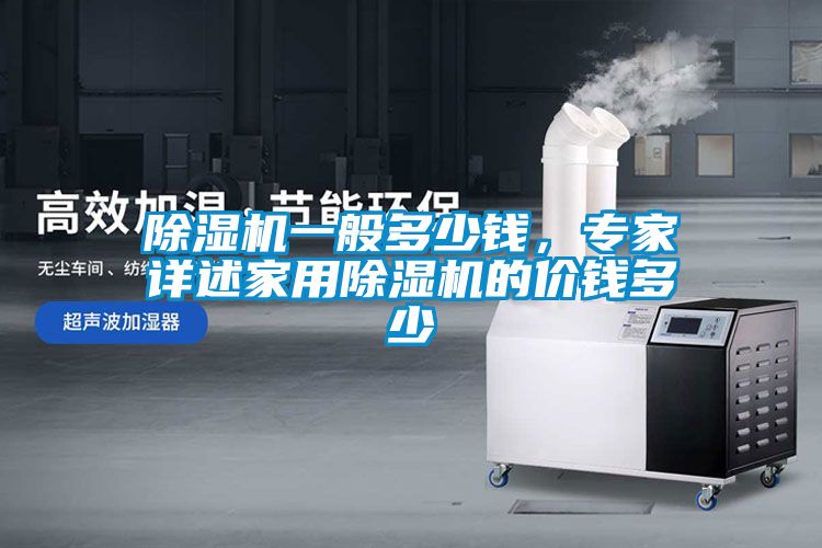 除濕機(jī)一般多少錢，專家詳述家用除濕機(jī)的價錢多少