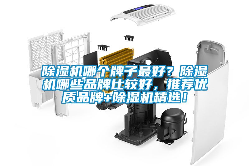除濕機(jī)哪個(gè)牌子最好？除濕機(jī)哪些品牌比較好，推薦優(yōu)質(zhì)品牌+除濕機(jī)精選！