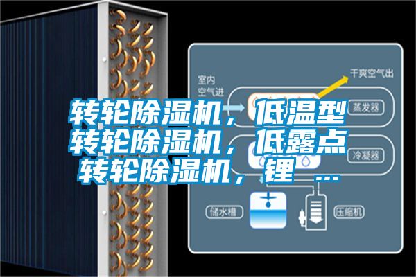 轉(zhuǎn)輪除濕機(jī)，低溫型轉(zhuǎn)輪除濕機(jī)，低露點(diǎn)轉(zhuǎn)輪除濕機(jī)，鋰 ...
