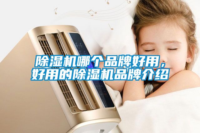 除濕機(jī)哪個品牌好用，好用的除濕機(jī)品牌介紹
