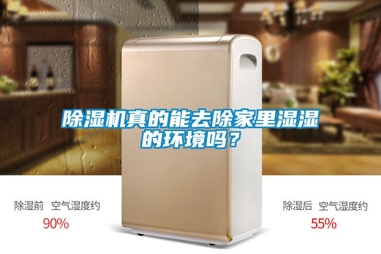 除濕機(jī)真的能去除家里濕濕的環(huán)境嗎？
