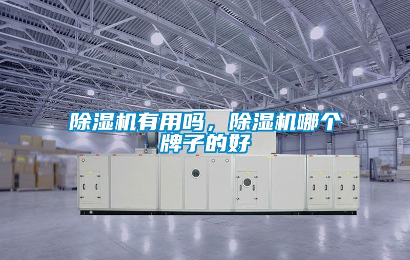 除濕機(jī)有用嗎，除濕機(jī)哪個(gè)牌子的好