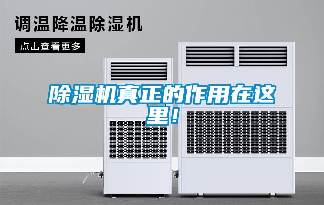 除濕機(jī)真正的作用在這里！