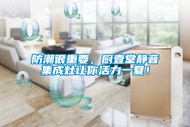 防潮很重要，廚壹堂靜音集成灶讓你活力一夏！