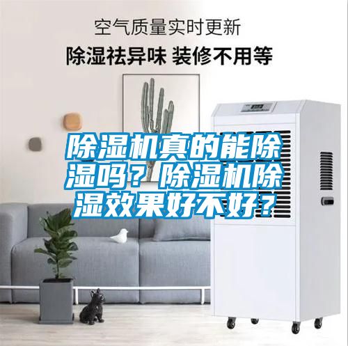 除濕機(jī)真的能除濕嗎？除濕機(jī)除濕效果好不好？