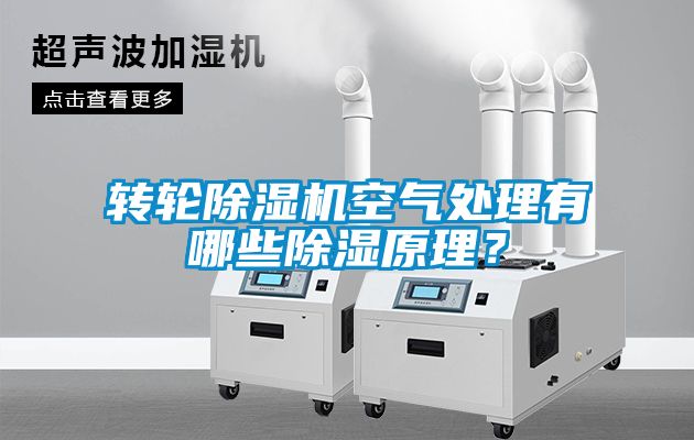 轉(zhuǎn)輪除濕機空氣處理有哪些除濕原理？