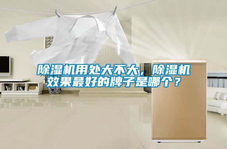 除濕機(jī)用處大不大，除濕機(jī)效果最好的牌子是哪個(gè)？