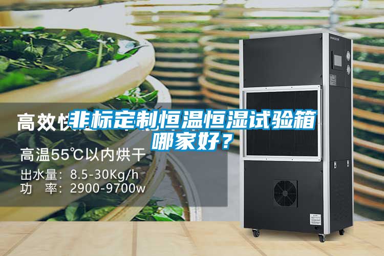 非標定制恒溫恒濕試驗箱哪家好？
