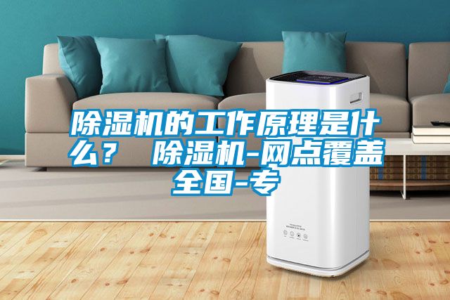 除濕機(jī)的工作原理是什么？ 除濕機(jī)-網(wǎng)點(diǎn)覆蓋全國(guó)-專