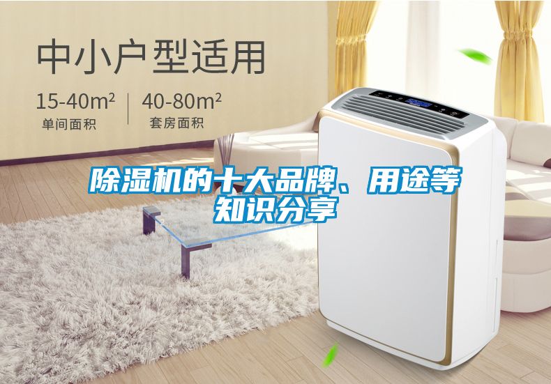 除濕機(jī)的十大品牌、用途等知識分享