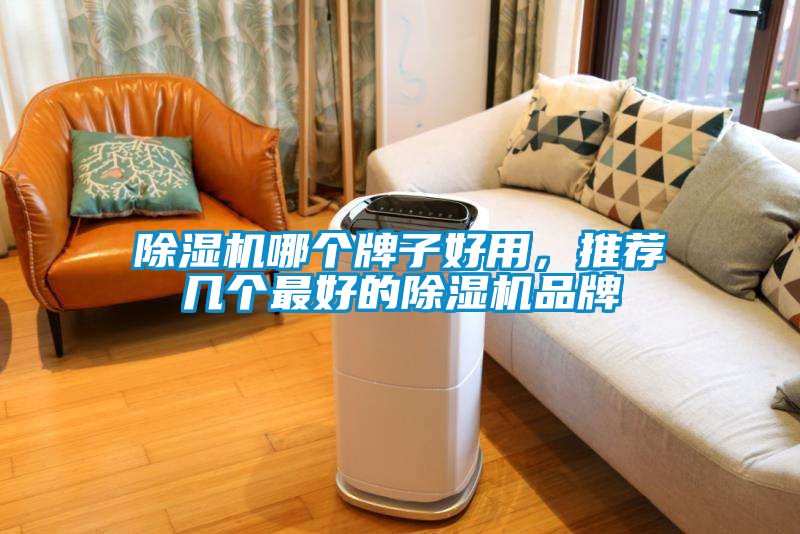 除濕機(jī)哪個(gè)牌子好用，推薦幾個(gè)最好的除濕機(jī)品牌