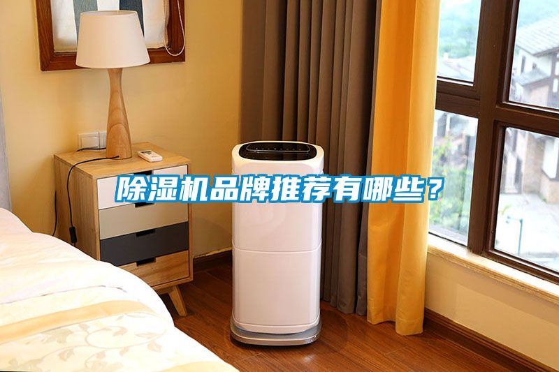 除濕機品牌推薦有哪些？