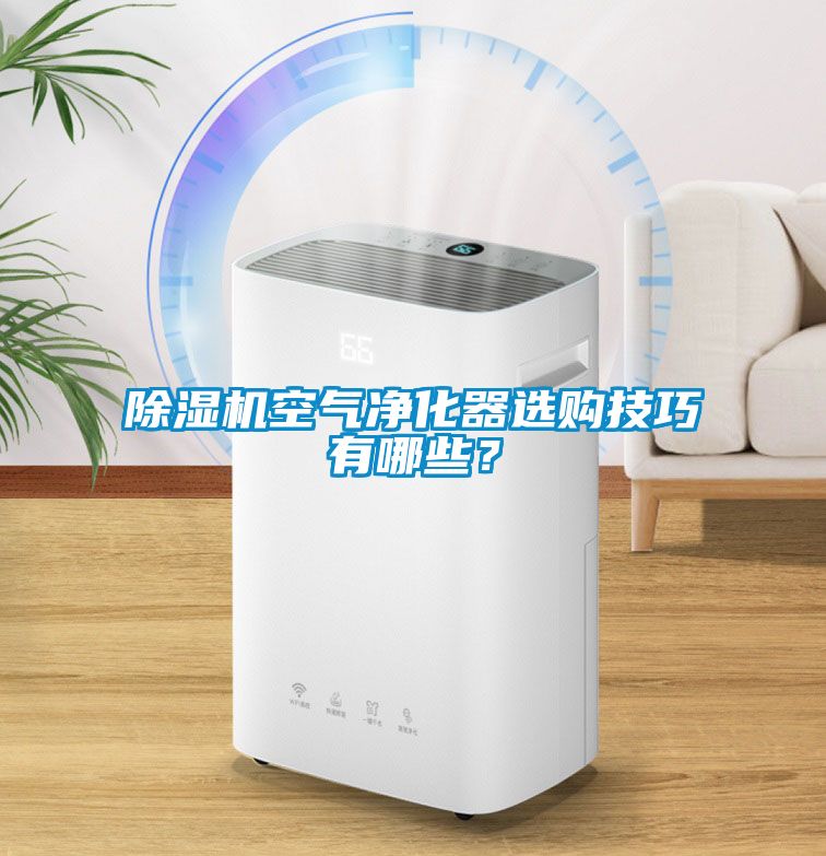 除濕機(jī)空氣凈化器選購技巧有哪些？